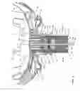 Fig. 06 - Animated artificial flower