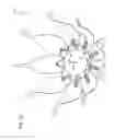 Fig. 20 - Animated artificial flower