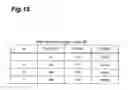 Fig. 16 - CHARACTER INPUT ASSIST METHOD, CHARACTER INPUT ASSIST SYSTEM, CHARACTER INPUT ASSIST PROGRAM, USER TERMINAL, CHARACTER CONVERSION METHOD AND CHARACTER CONVERSION PROGRAM