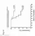 Fig. 15 - Method by Using Human or Mice-Isg12 to Develop and Prepare Drugs and  Single Nucleotide Polymorphism in the Isg12 Gene for Diagnostic Use