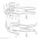 Fig. 02 - Wetsuit