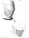 Fig. 01 - Full-Face Motorcycle Goggles
