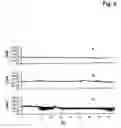 Fig. 06 - Device and Method for Coupling Capillary Separation Methods and Mass Spectrometry