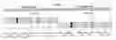 Fig. 01 - Method of driving organic light emitting diode display device in an interlaced scanning mode in which a single frame is divided