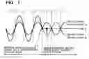 Fig. 02 - Photonic crystal optical circuit and method for controlling the same