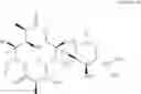 Fig. 05 - Antibacterial Agents