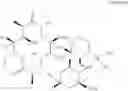 Fig. 28 - Antibacterial Agents