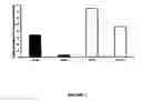 Fig. 02 - Triheterocyclic compounds and compositions thereof