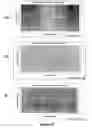 Fig. 09 - Compounds that inhibit HIV particle formation