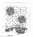 Fig. 06 - Materials, Methods, and Systems for Cavitation-mediated Ultrasonic Drug Delivery in vivo