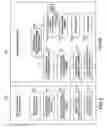 Fig. 07 - Systems and methods for automated media programming (AMP)
