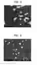 Fig. 06 - GAS SENSING ELEMENT WITH INCREASED MECHANICAL STRENGTH