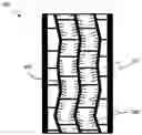 Fig. 01 - TIRE INCLUDING SEGMENTED SIPES