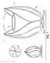 Fig. 06 - SYSTEMS FOR CONTAINING AND STORING MATERIALS