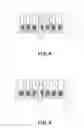 Fig. 07 - Ink jet head and production process thereof