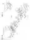 Fig. 02 - Liquid crystal glare-proof mirror