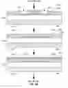 Fig. 04 - CMOS-process-compatible programmable via device