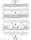 Fig. 06 - CMOS-process-compatible programmable via device
