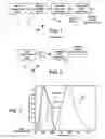 Fig. 02 - Semiconductor-laser pumped Ti:sapphire laser