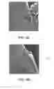 Fig. 06 - Nondestructive residential inspection method and apparatus