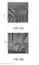 Fig. 09 - Nondestructive residential inspection method and apparatus