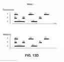 Fig. 33 - Telecommunication and multimedia management method and apparatus