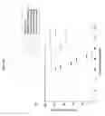 Fig. 08 - Cytotoxicity mediation of cells evidencing surface expression of CD44