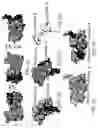 Fig. 07 - Structure of the hepatitis C NS5A protein