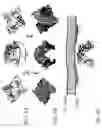 Fig. 08 - Structure of the hepatitis C NS5A protein