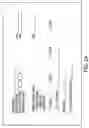 Fig. 03 - Macrophage-Enhanced MRI (MEMRI)
