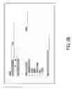 Fig. 04 - Macrophage-Enhanced MRI (MEMRI)