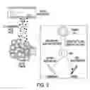 Fig. 06 - Macrophage-Enhanced MRI (MEMRI)