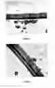 Fig. 02 - Non-Irritant Rapid-Action Dipilatory Composition