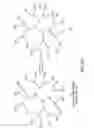 Fig. 17 - Methods and compositions for phosphate binding