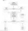Fig. 31 - Cell therapy method for the treatment of tumors