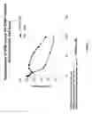 Fig. 02 - COMPOSITIONS AND METHODS INVOLVING GENE THERAPY AND PROTEASOME MODULATION