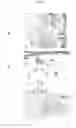 Fig. 03 - Method of three-dimensionally culturing chondrocytes
