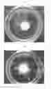 Fig. 06 - Method of three-dimensionally culturing chondrocytes