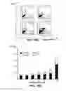 Fig. 06 - PHARMACEUTICAL COMPOUND FOR BLOCKING THE CRT OR ERP57 TRANSLOCATION
