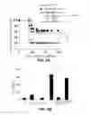 Fig. 20 - PHARMACEUTICAL COMPOUND FOR BLOCKING THE CRT OR ERP57 TRANSLOCATION