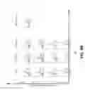 Fig. 28 - PHARMACEUTICAL COMPOUND FOR BLOCKING THE CRT OR ERP57 TRANSLOCATION