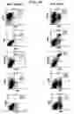 Fig. 06 - Methods to Treat or Prevent Viral-Associated Lymphoproliferative Disorders