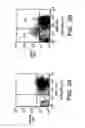 Fig. 03 - Prospective identification and characterization of breast cancer stem cells