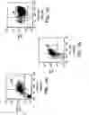 Fig. 04 - Prospective identification and characterization of breast cancer stem cells