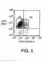 Fig. 06 - Prospective identification and characterization of breast cancer stem cells
