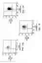 Fig. 09 - Prospective identification and characterization of breast cancer stem cells