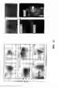 Fig. 28 - Prospective identification and characterization of breast cancer stem cells