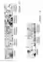 Fig. 04 - Polynucleotides and polypeptide sequences involved in the process of bone remodeling