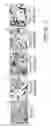 Fig. 06 - Polynucleotides and polypeptide sequences involved in the process of bone remodeling
