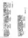 Fig. 08 - Polynucleotides and polypeptide sequences involved in the process of bone remodeling
